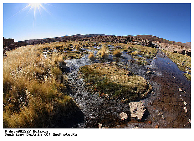 �������, ����������, ����, ������, ����, ������, �����, ������� �����, ��, ���, �����, �����, �����