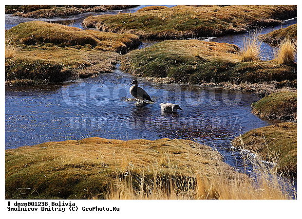 �������, ����������, ����, ������, �����, ���, ���������, �����, �����, �����, ����