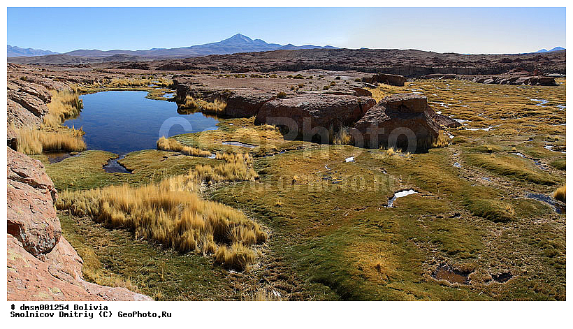 �������, ��������, ����������, ����, ������, ����, ������, �����, ������� �����, ��, ���, ���������, �����, �����, �����