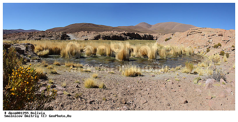 �������, ��������, ����������, ����, ������, ����, ������, �����, ������� �����, ��, ���, ���������, �����, �����, �����