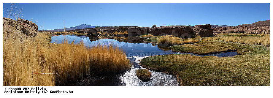 �������, ��������, ����������, ����, ������, ����, ������, �����, ������� �����, ��, ���, ���������, �����, �����, �����