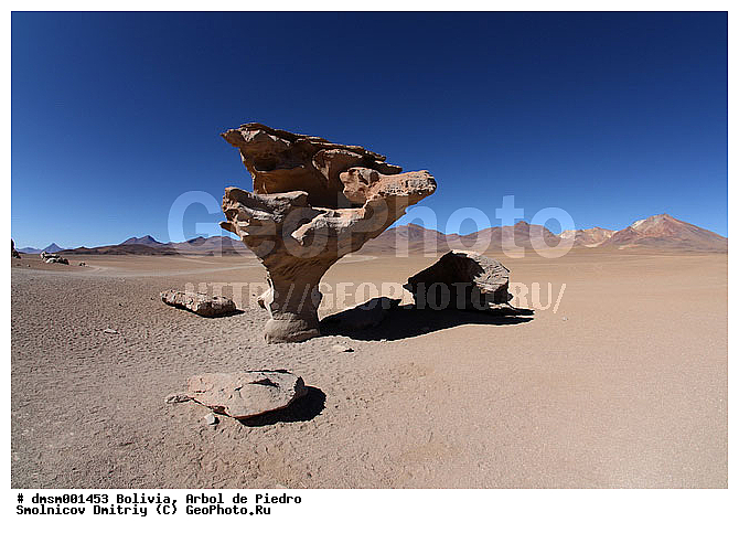 ����� �� �����, �������, ����������