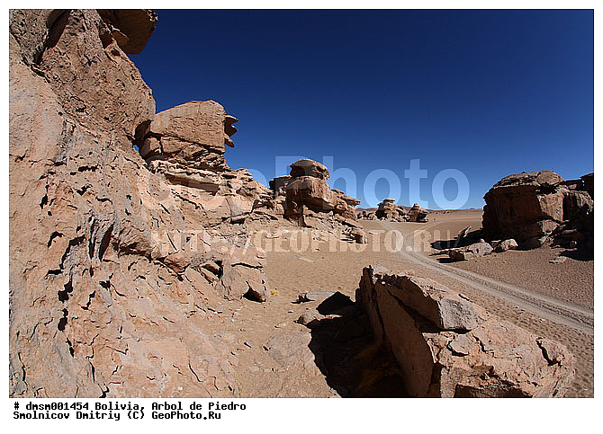 ����� �� �����, �������, ����������, �����, �����