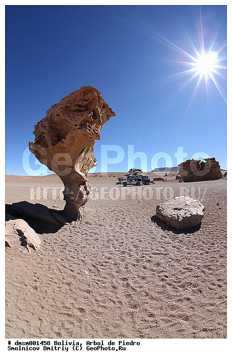 ����� �� �����, �������, ����������, �����, �����, ������