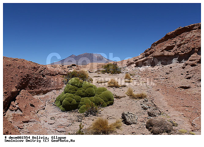 �������� ��������, �������, ������ �������, ����������, ����