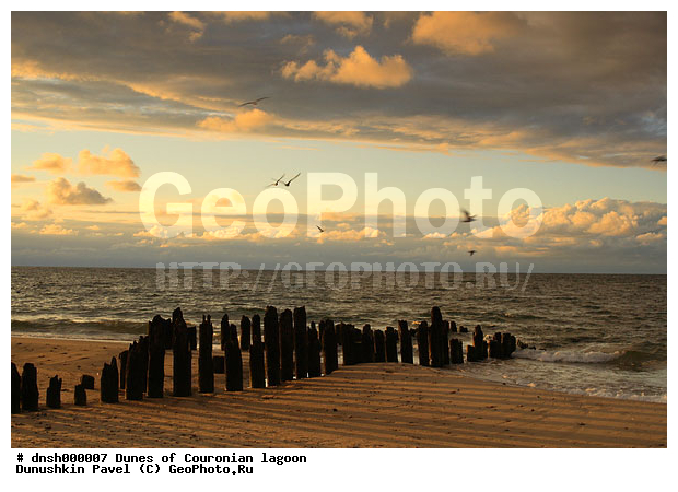 �������, ����, ����, ��������, �����, ����������