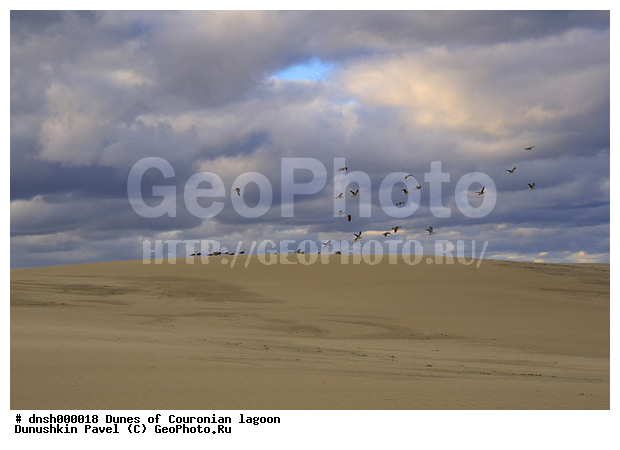 �������, ����, ����, ��������, �����, ����������