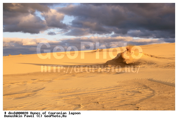 �������, ����, ����, ��������, �����, ����������