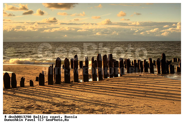 �������, �����, ����, �����, ���������