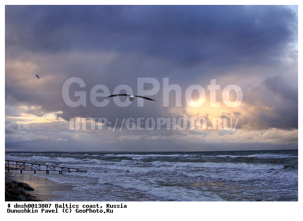 �������, �����, ����, �����, ���������