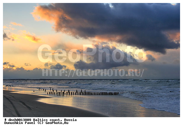 �������, �����, ����, �����, ���������