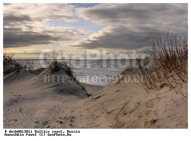 �������, �����, ����, �����, ���������