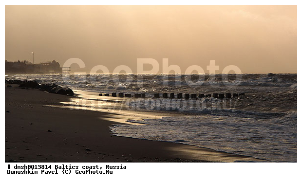 �������, �����, ����, �����, ���������