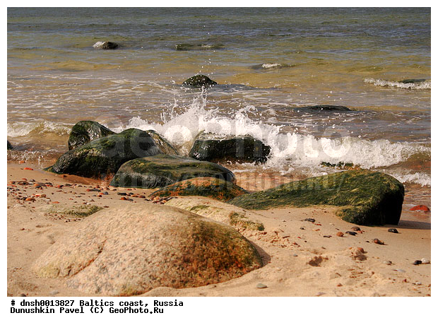 �������, �����, ����, �����, ���������