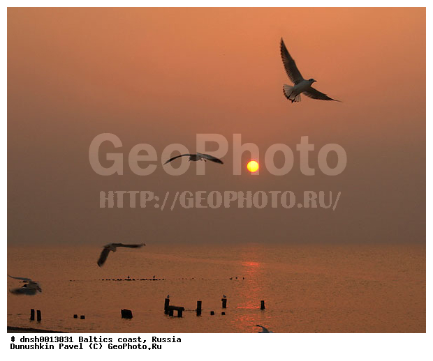 �������, �����, ����, �����, ���������