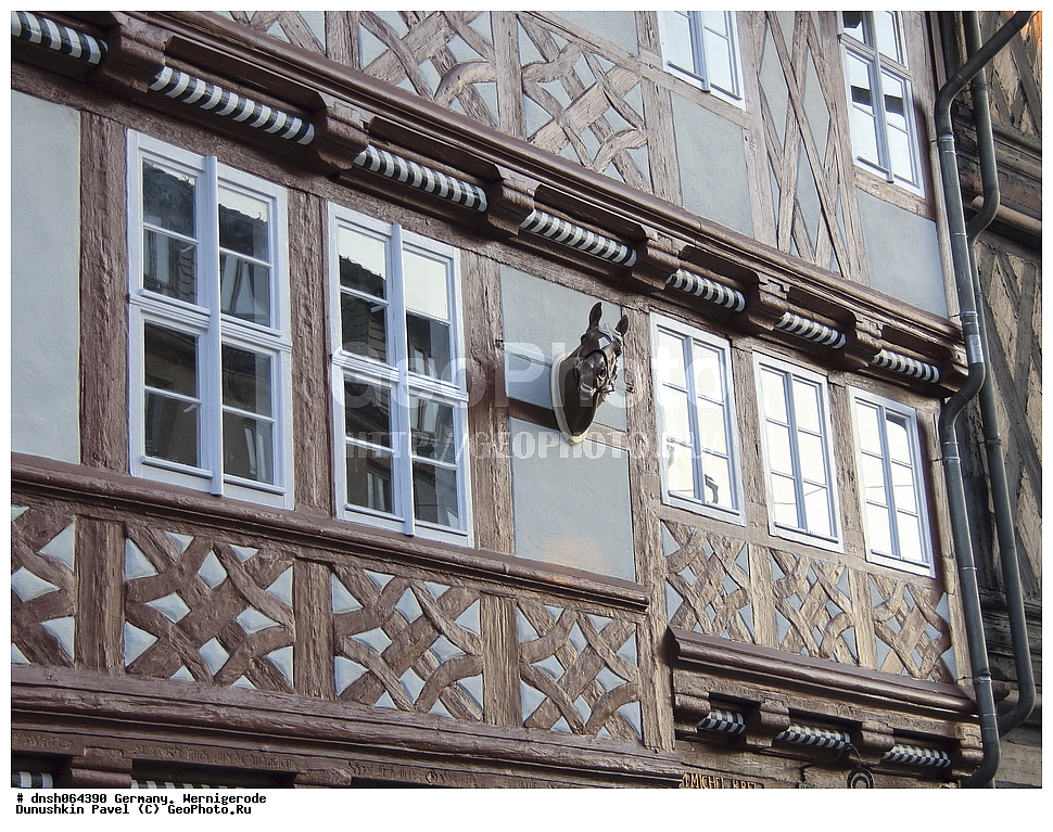 ��������. �����������, ������������ ���������� ��������, ���, ��������-�������, ��������-�������