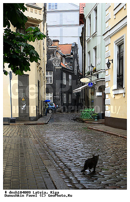 �������, ������, ������, ����, ����������