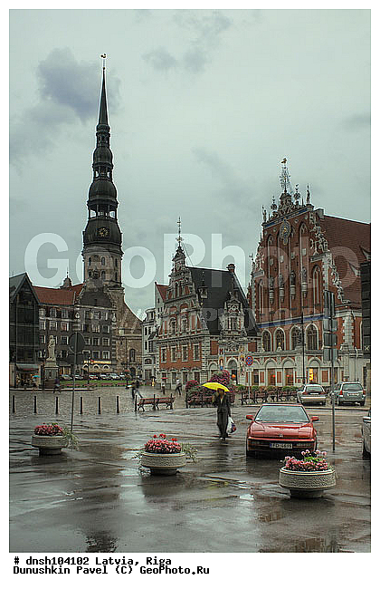 �������, ������, ������, ����, ����������