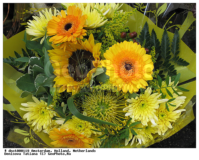 ���������, ���������, ����������, ����� ������