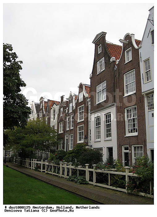 ���������, ���������, ������, ����������, �����������, �������, ������