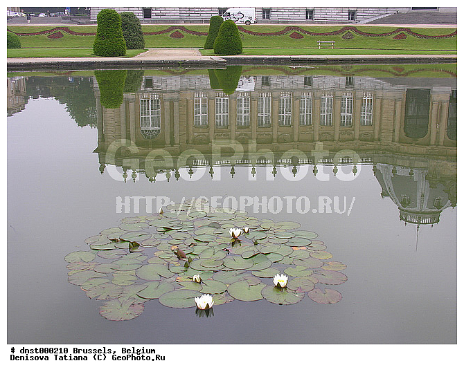 �������, ������, ��������, �����������, ������, ������, �������, �����, ������