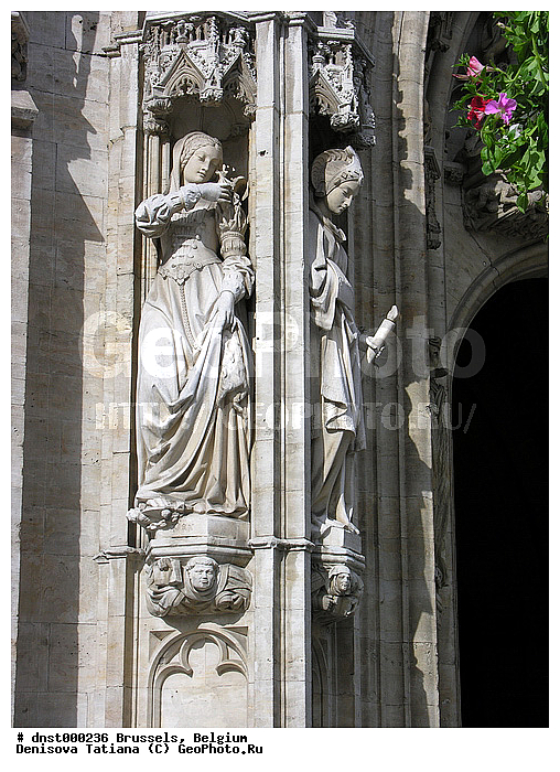 �������, ��������, ������, �����������, ������, �������, ������