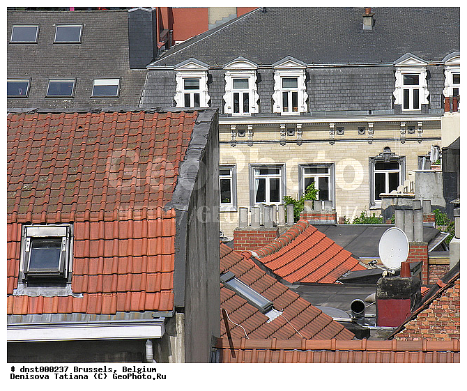 �������, ��������, ������, �����������, ������, �������, ������