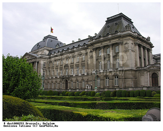 �������, ��������, ������, �����������, ������, �������, ����������� ������, �������, ������