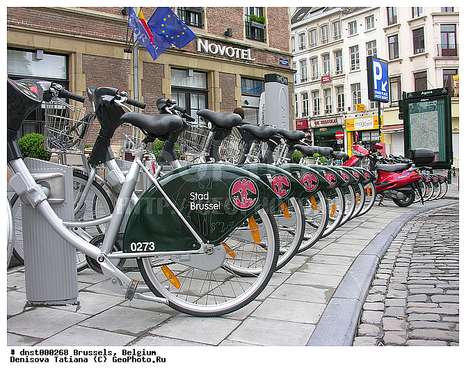 �������, ��������, ������, ����������, ������, �����