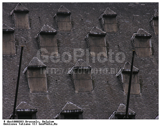 �������, ��������, ������, �����������, ������, ������, �������, �����, ������