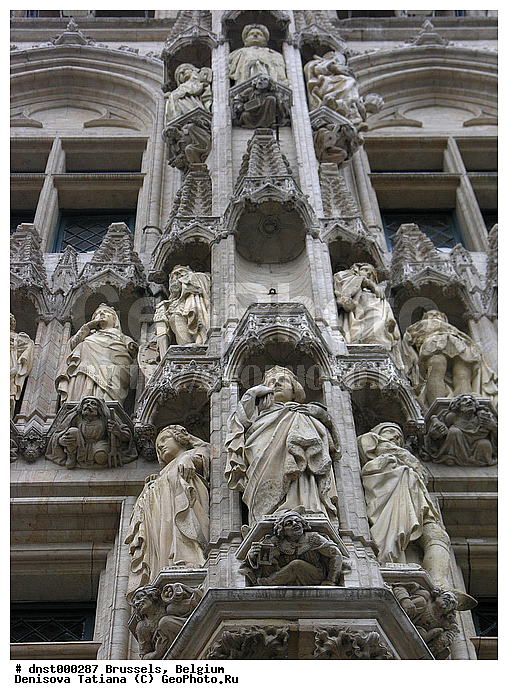 �������, ��������, ������, �����������, ������, ������, �������, ������