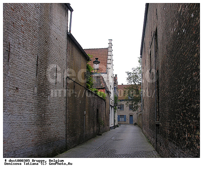 �������, ������, ������, �����������, �������, ������