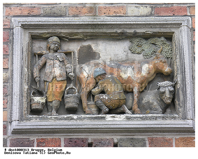 �������, ������, ������, �����������, ��������, �������, ������