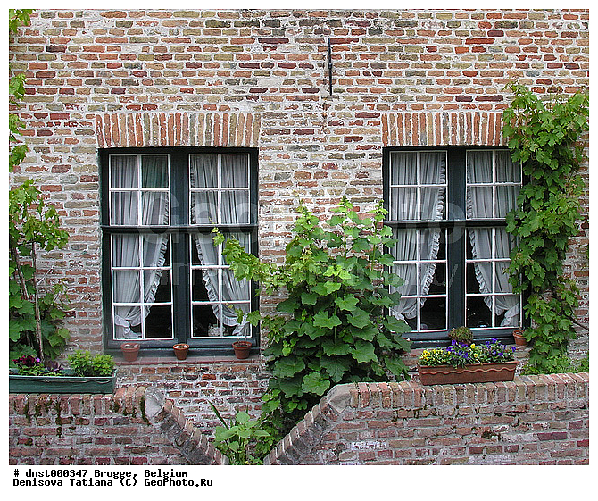 �������, ������, ������, �����������, �������, ����, ������