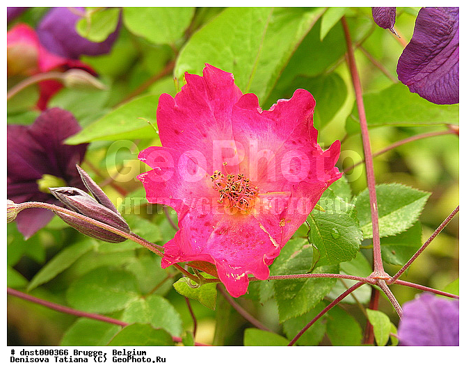 �������, ������, ������, ������, �������, �����