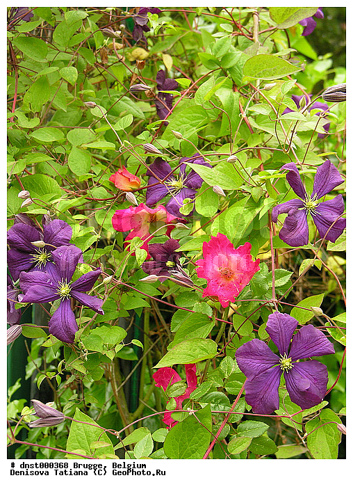 �������, ������, ������, ������, �������, �����