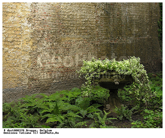 �������, ������, ������, �����������, ����, �������, ��������, �����, ������