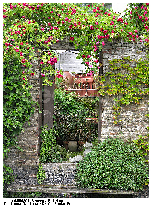 �������, ������, ������, �����������, ����, �������, ��������, �����, ��������, ������, �����