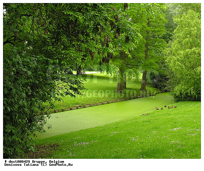 �������, ������, ������, ������, ��������, �������, �����, ������, ����