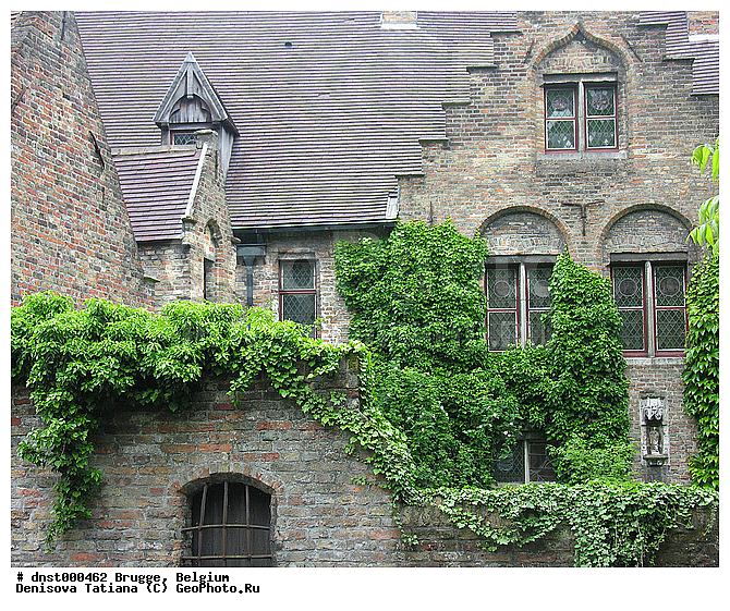 �������, ������, ������, �����������, �������, ������