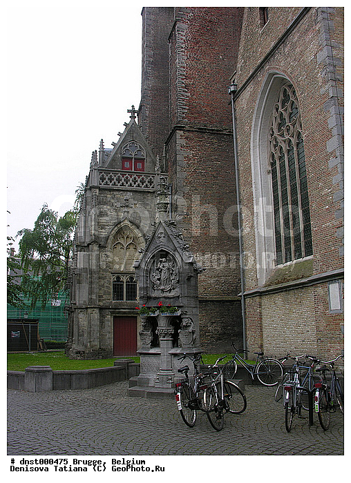 �������, ������, ������, �����������, �������, ������