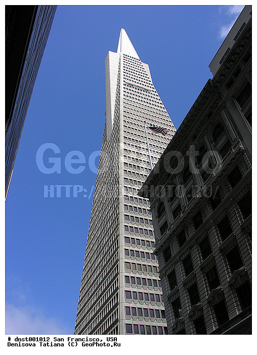 ����������, ���, ���-���������, �����������, ������, ����������, ������