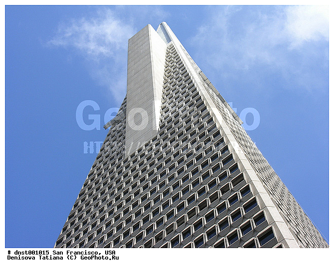 ����������, ���, ���-���������, �����������, ������, ���������, ������