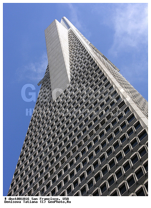 ����������, ���, ���-���������, �����������, ������, ���������, ������