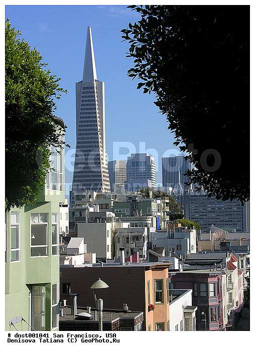 ����������, ���, ���-���������, �����, ����������, ������