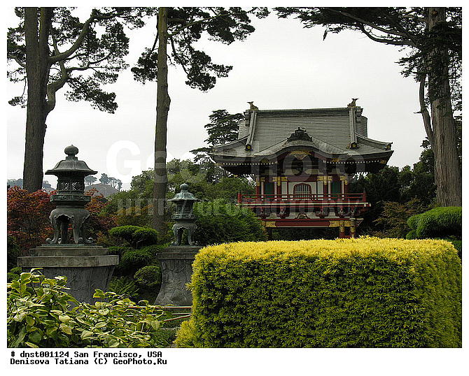 ����������, ���, ���-���������, �������� ���, �����������, �������