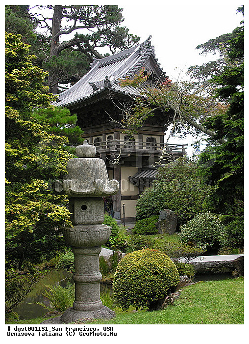 ����������, ���, ���-���������, �������� ���, �����������, �������