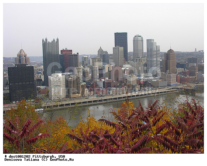 ������������, ���������, ���, �����, ����������, ������, ���� �����, ������