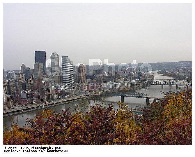 ������������, ���������, ���, �����, ����������, ������, ���� �����, ������