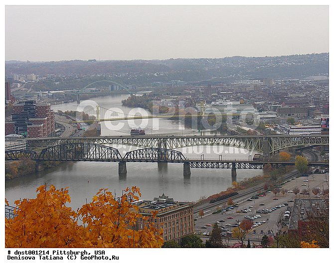 ������������, ���������, ��� �����, �����, ����������, ������, ���� �����, ������